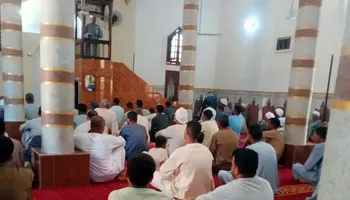 الفاعلية 