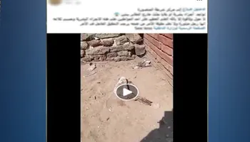 &laquo;قدم بشرية&raquo; بجوار مقابر بالدقهلية