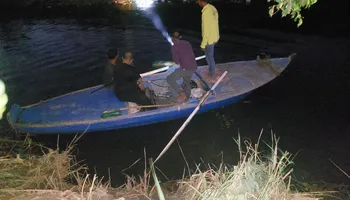ضبط تمساح مصرف قرية الحصافة