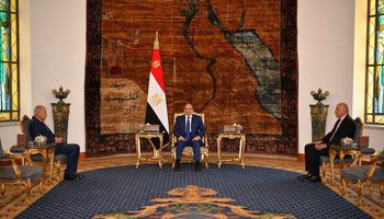 الرئيس السيسي وأحمد أبو الغيط