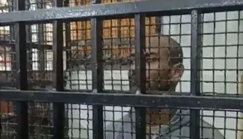 المتهم في إنهاء حياة اولادة الثلاثة 