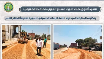 المنوفية 