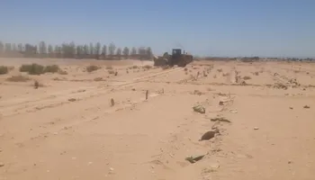 جانب من الازالات 