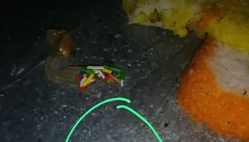 جانب من المخالفات