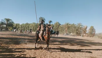 جانب من المرماح