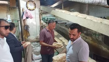 حملة تموينية