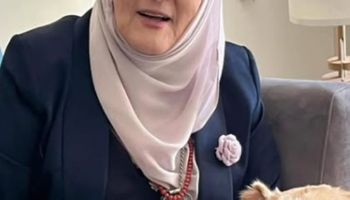 شمس البارودي 