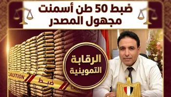 ضبط 50 طن أسمنت مجهول المصدر وسجائر بأزيد من السعر ومخالفات تجارية في حملة ببندر دسوق