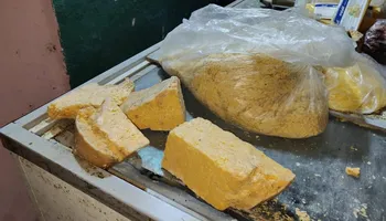 ضبط  نصف طن جبن فاسد ببورفؤاد و7000 سلعة مغشوشة بحى العرب  ببورسعيد 