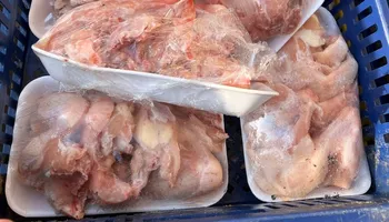 ضبوطات 