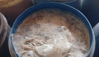ضبوطات المنوفية 