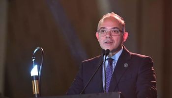 محمد فريد وزير الاستثمار