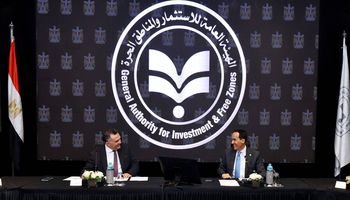 وزيرة الاستثمار 