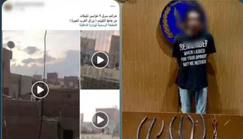 المتهم 