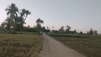 جانب من الطريق 
