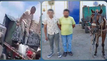  ضبط عاطلين سرقا صندوق قمامة بعربة "كارو" في الإسكندرية