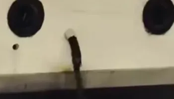 المياه 