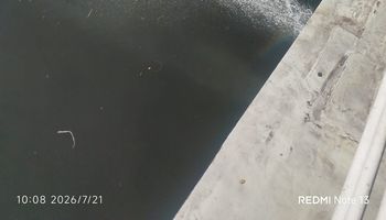 المياه 