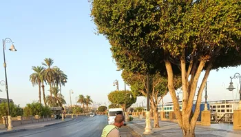 المتابعة 