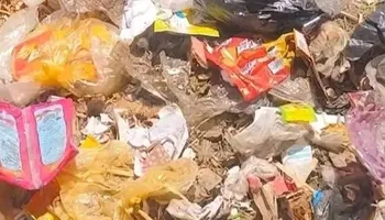 الصور المتداولة 