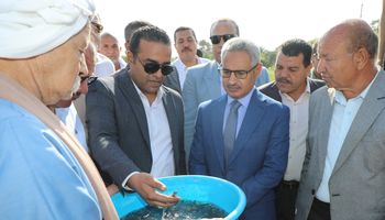 القاء الذريعة السمكية ببنى سويف 