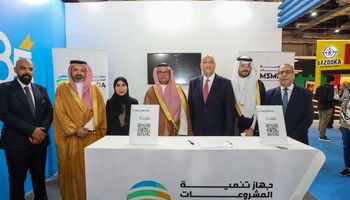 المشروعات
