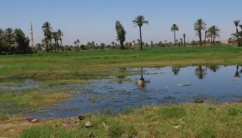 تعديات طرح النيل