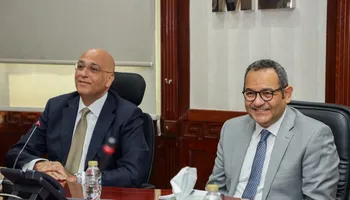 تنمية المشروعات 