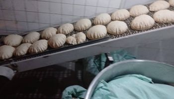 جانب من الحملة 