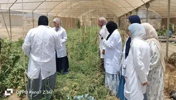 جانب من الدورة التدريبية 