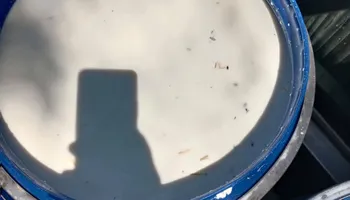 جانب من الضبطيات 
