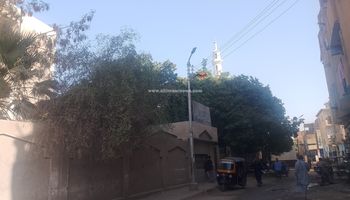 جانب من توافد الطلاب