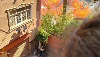 حريق بجوار صدر منوف  