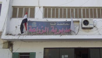زراعة قنا