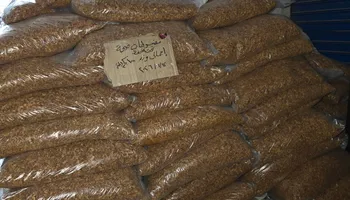 صحة القليوبية