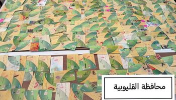 ضبط بطاقات تموينية - حملات رقابية