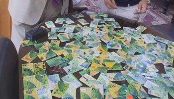 بطاقات تموينية 