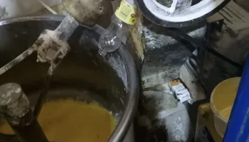  ضبط مخبز &laquo;فينو&raquo; بحي الزهور يعج بالحشرات ويستخدم تموراً مجهولة المصدر  ببورسعيد