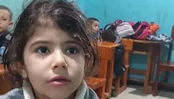 لارين محمد فوزي