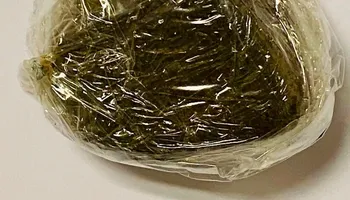 مخدر حشيش