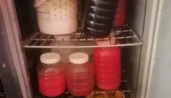 مديرية الشؤون الصحية ببورسعيد تقوم بضبط وإعدام أغذية ومشروبات غير صالحة وتحرير 67 محضرًا خلال يونيو