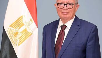 نائب رئيس الوزراء 
