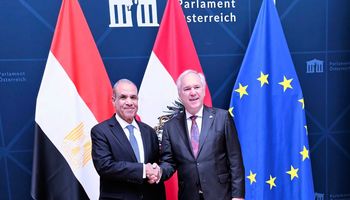 وزير الخارجية يلتقي رئيس البرلمان النمساوي