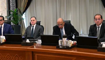 وزير الكهرباء في اجتماع مجلس الوزراء 