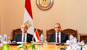 وزيرا الخارجية والاستثمار