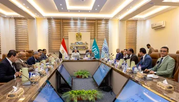 الفاعلية 