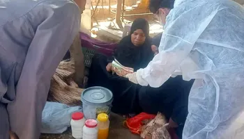 التقصي