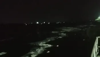 الصورة المتداولة 