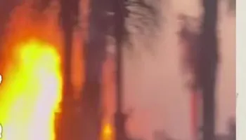 حريق بوتو مارينا 
