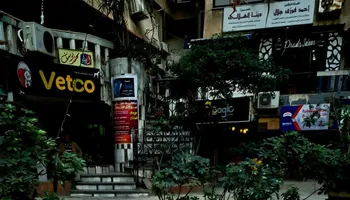 الدكتور محمد